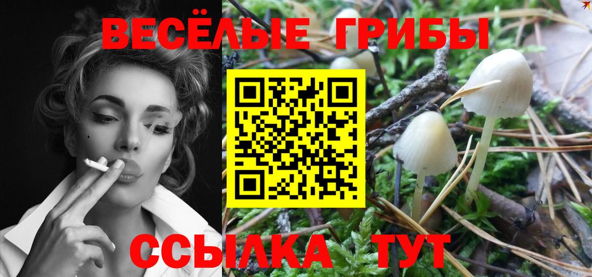 Галлюциногенные грибы GOLDEN TEACHER  Вход с VPN  Карталы 